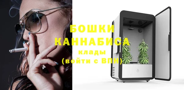 стаф Нефтекумск