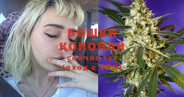 стаф Нефтекумск