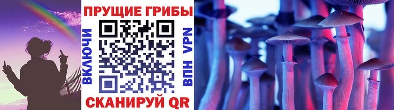 Галлюциногенные грибы Psilocybe Купить закладки Люберцы
